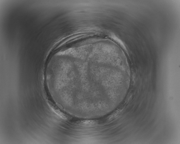 X0000069790059200606021424