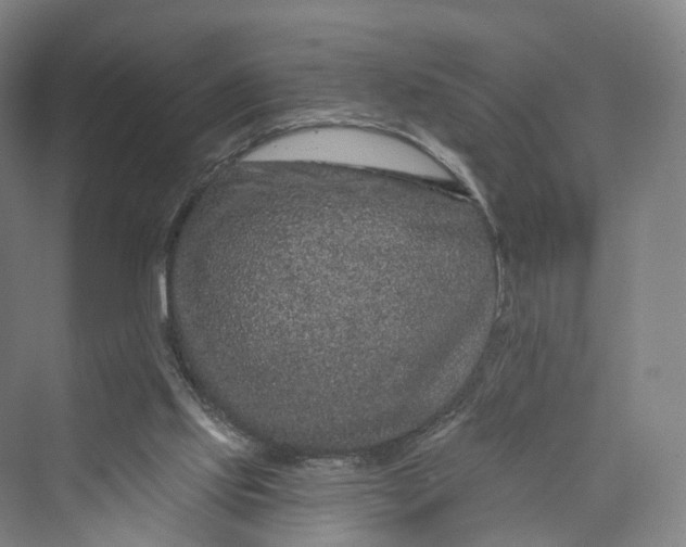 X0000069790061200606021424