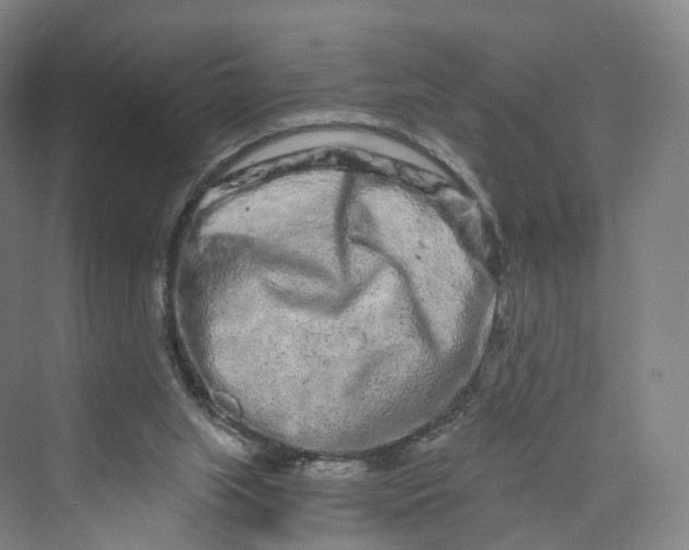 X0000069790063200606021424