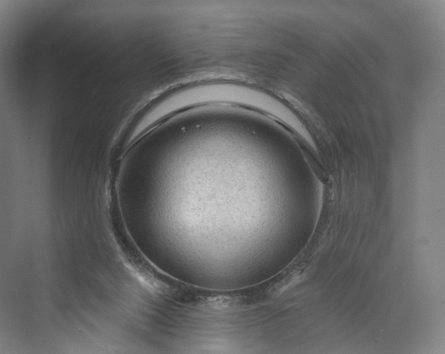 X0000069790064200606021424