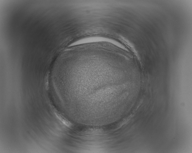 X0000069790065200606021424