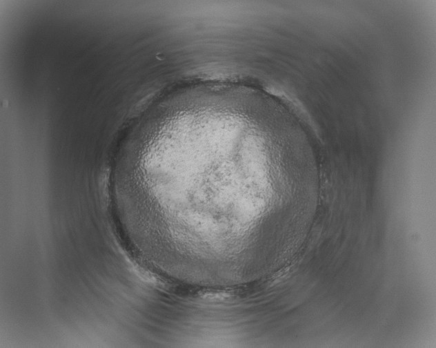 X0000069790066200606021424