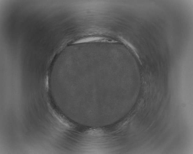 X0000069790067200606021424