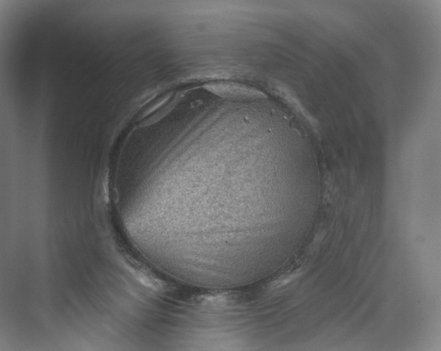 X0000069790068200606021424