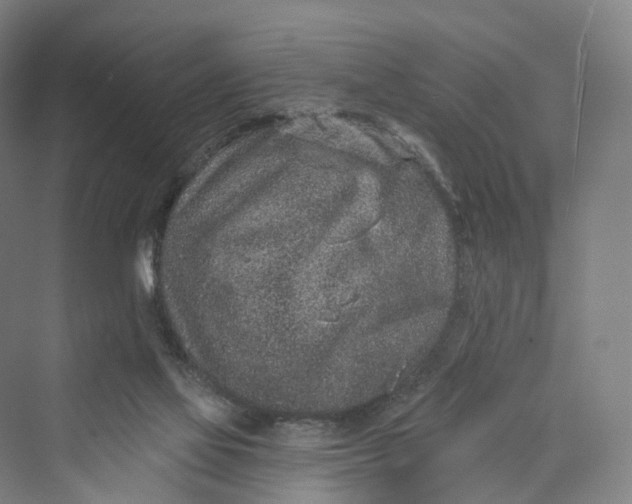 X0000069790069200606021424