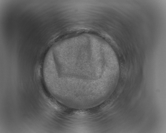 X0000069790071200606021424