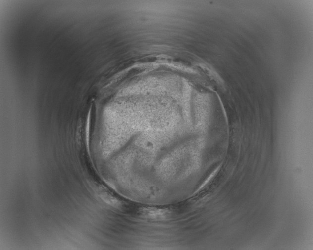 X0000069790073200606021424