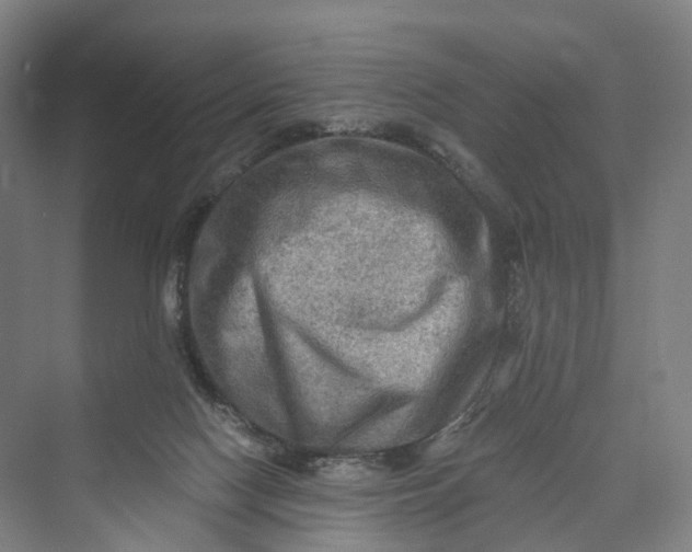 X0000069790074200606021424