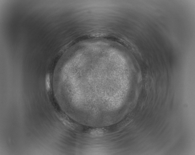 X0000069790075200606021424