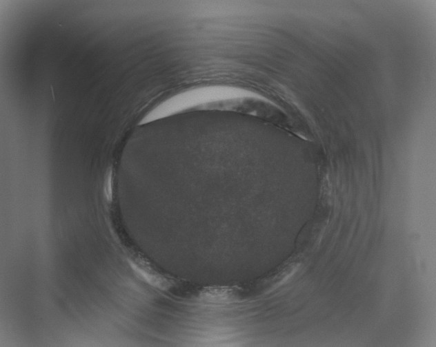 X0000069790076200606021424