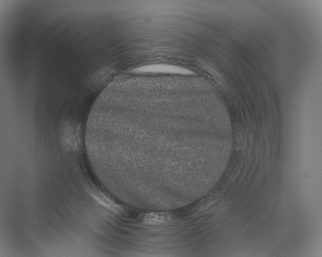 X0000069790077200606021424