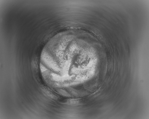 X0000069790078200606021424