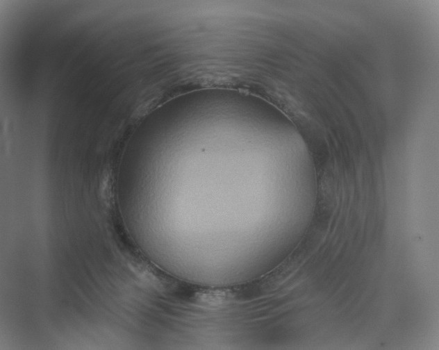 X0000069790079200606021424