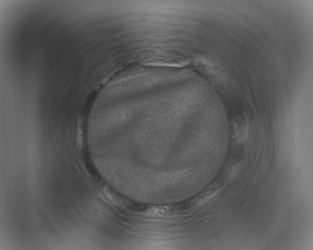 X0000069790080200606021424