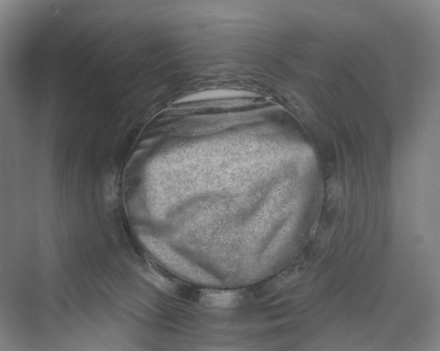 X0000069790081200606021424