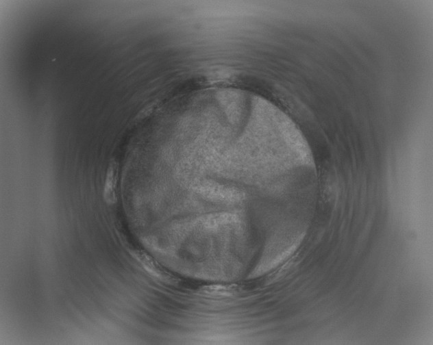 X0000069790082200606021424