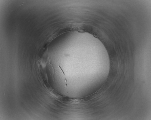 X0000069790083200606021424