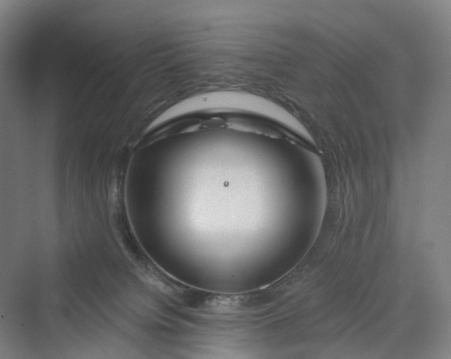 X0000069790084200606021424