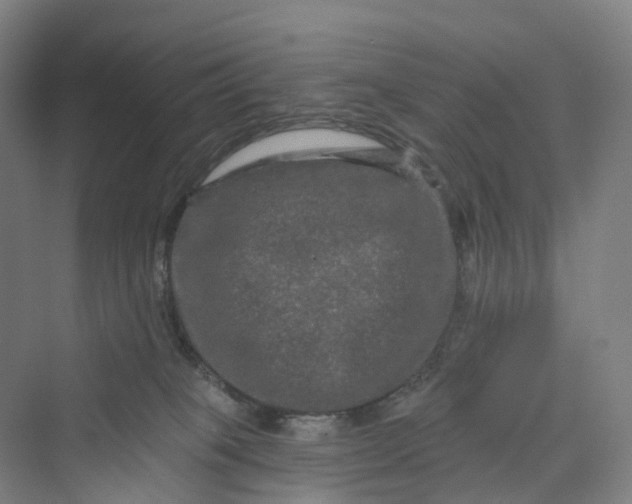 X0000069790085200606021424