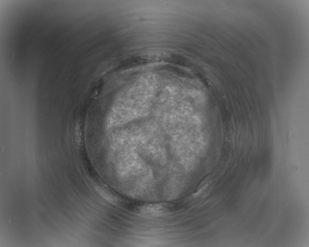 X0000069790086200606021424