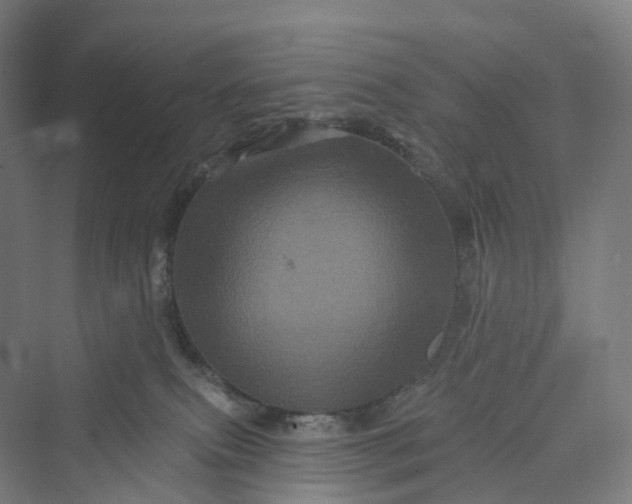 X0000069790087200606021424