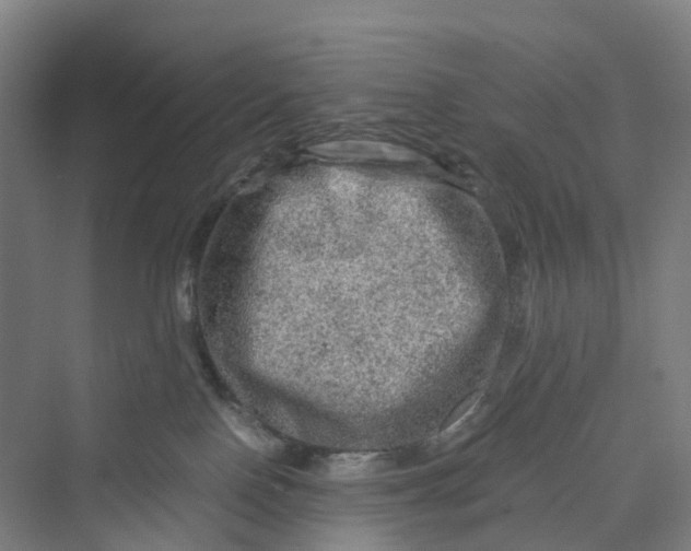 X0000069790090200606021424