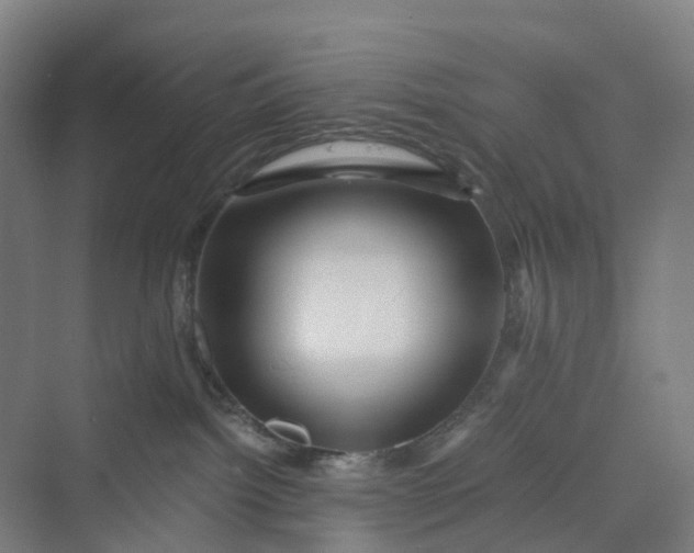 X0000069790092200606021424