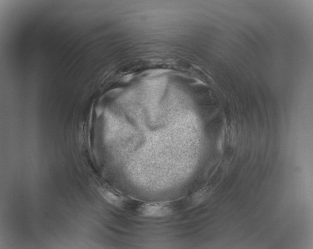 X0000069790093200606021424