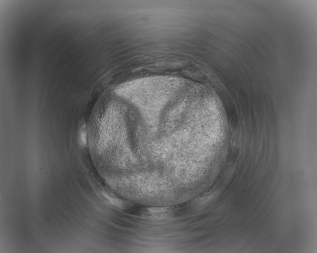 X0000069790095200606021424