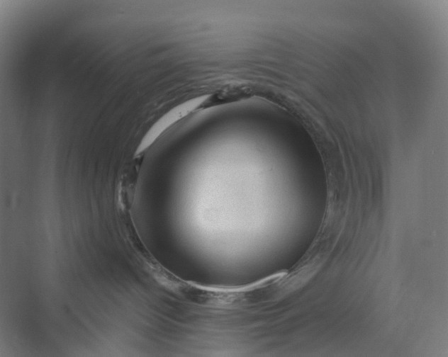 X0000069790096200606021424