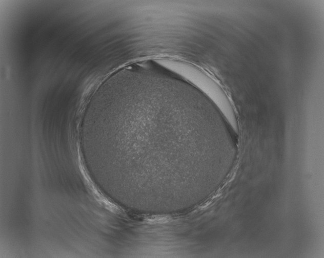 X0000069790097200606021424