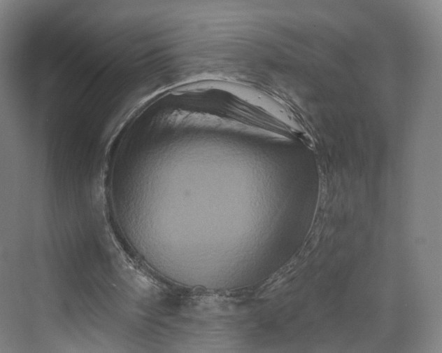 X0000069790098200606021424