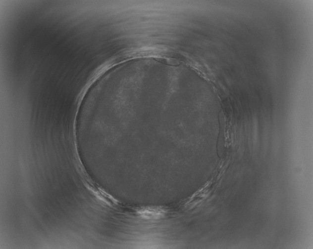 X0000069790099200606021423