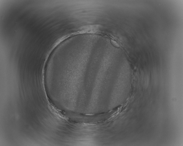 X0000069790100200606021423