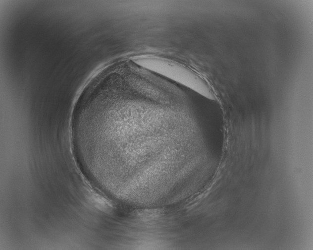 X0000069790102200606021423