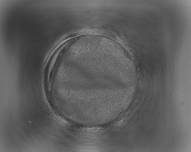 X0000069790103200606021423