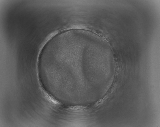 X0000069790104200606021423