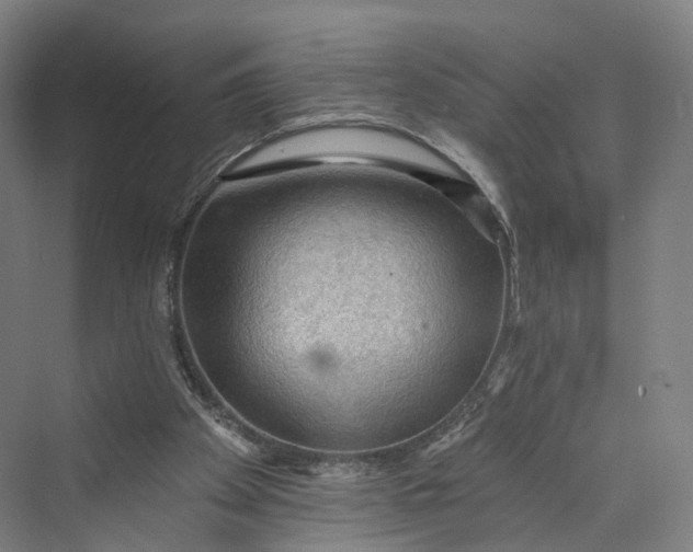 X0000069790105200606021423