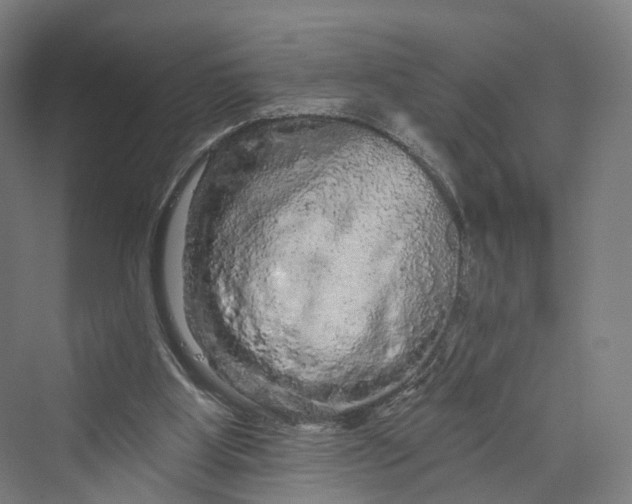 X0000069790107200606021423