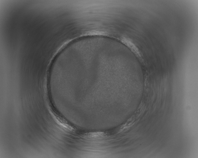 X0000069790108200606021423