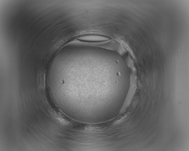 X0000069790109200606021423