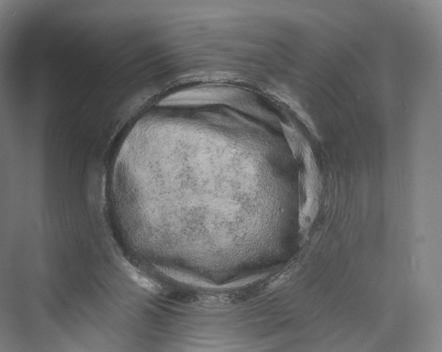 X0000069790110200606021423