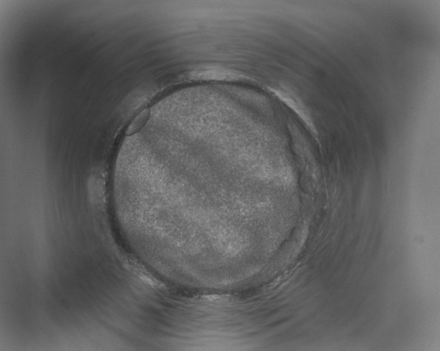 X0000069790111200606021423