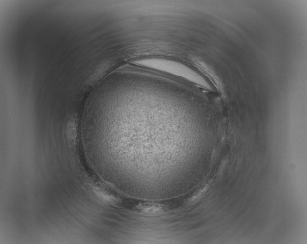 X0000069790113200606021423