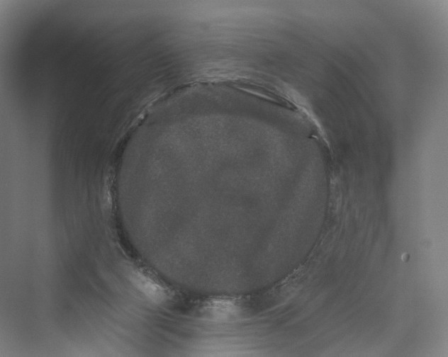 X0000069790114200606021423