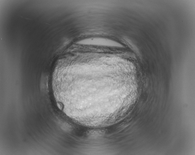 X0000069790115200606021423