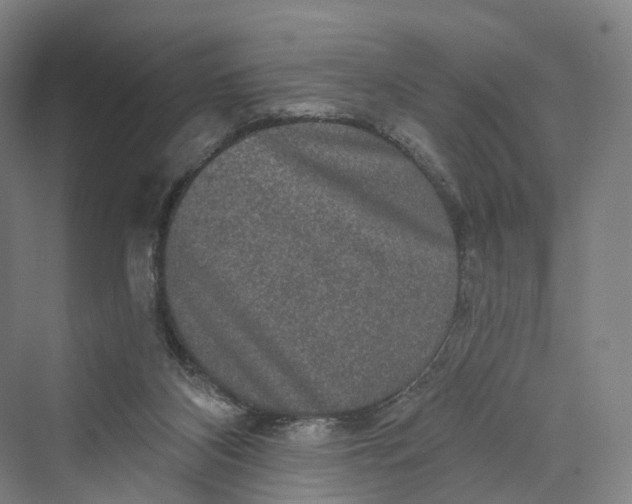 X0000069790116200606021423