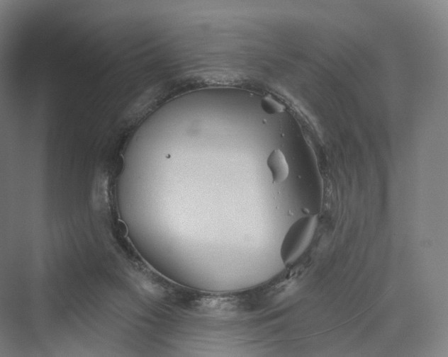 X0000069790117200606021423