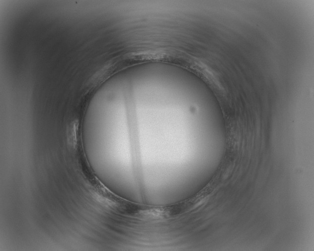 X0000069790118200606021423