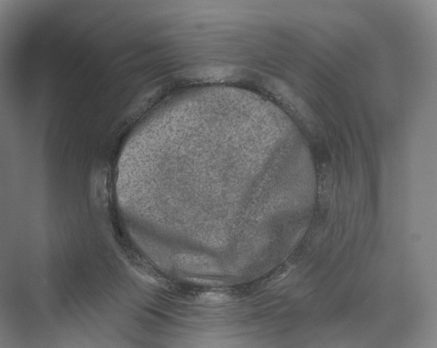 X0000069790119200606021423